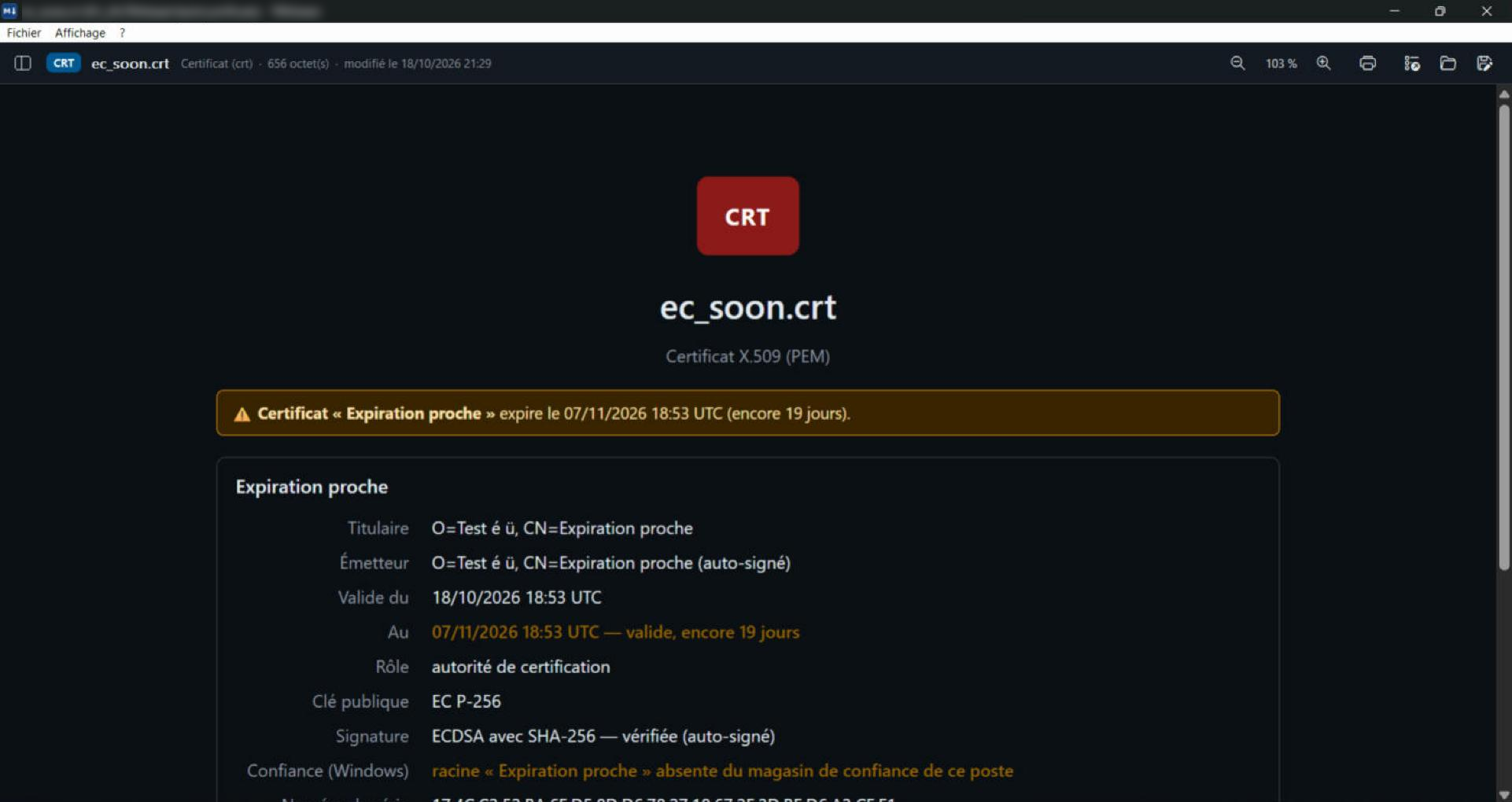 Lire un certificat .crt : titulaire, chaîne et date d'expiration dans TNViewer